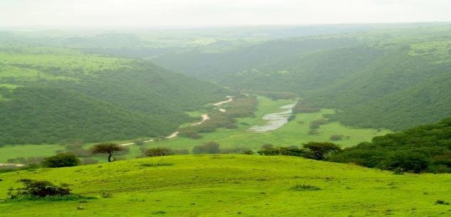 DSky  Travels  and Tourism LLC UAE. | Enchanting Salalah